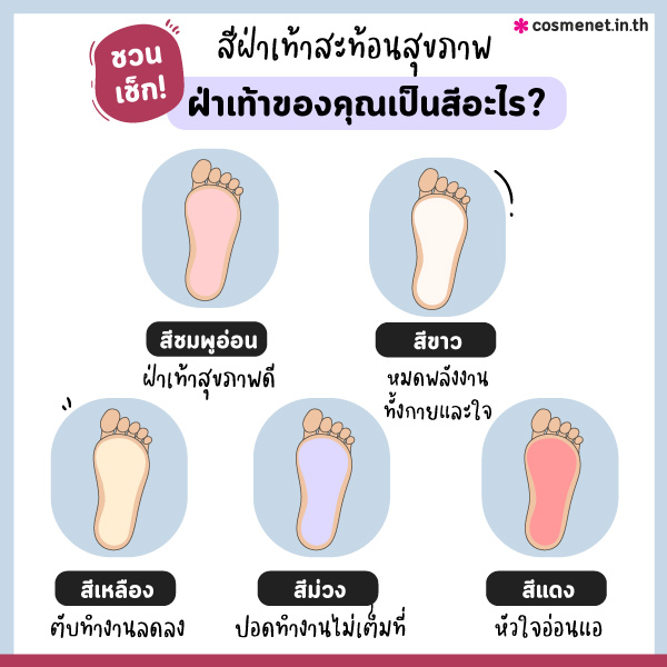 ฝ่าเท้าบอกโรค ฝ่าเท้าขาว ฝ่าเท้าเหลือง ฝ่าเท้าม่วง ฝ่าเท้าแดง