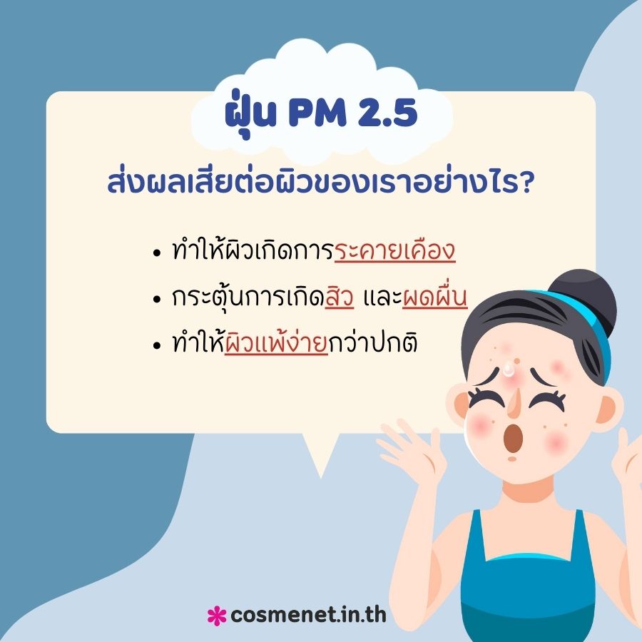 ฝุ่น PM 2.5 ส่งผลเสียต่อผิวของเราอย่างไร?