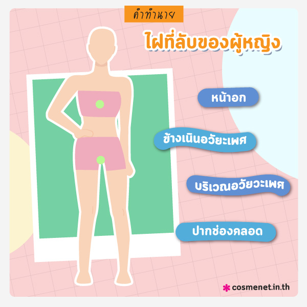 ไฝในที่ลับ ทายนิสัยจากไฝ ผู้หญิง