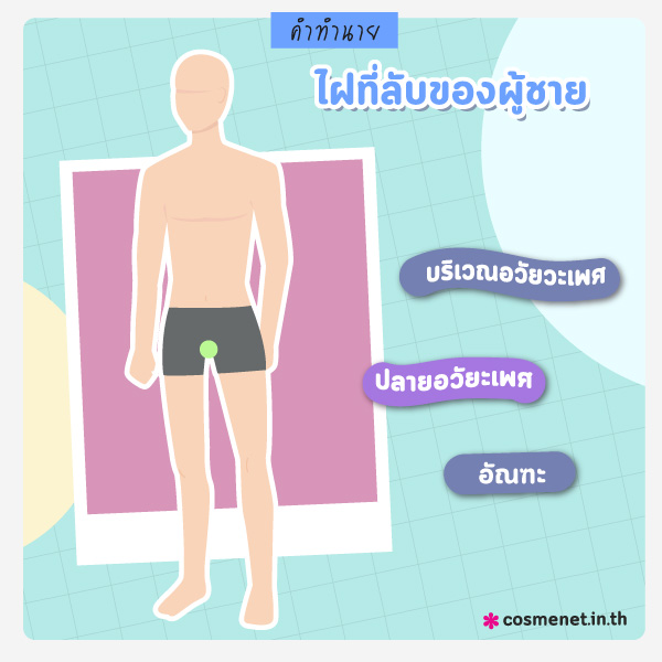 ไฝในที่ลับ ทายนิสัยจากไฝ ผู้ชาย