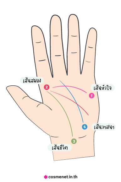 ลายมือคนรวย ลายมือเศรษฐี โหงวเฮ้ง มือรับทรัพย์ ลายมือคนโชคดี