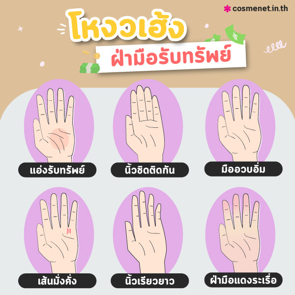 ลายมือคนรวย ลายมือเศรษฐี โหงวเฮ้ง มือรับทรัพย์ ลายมือคนโชคดี