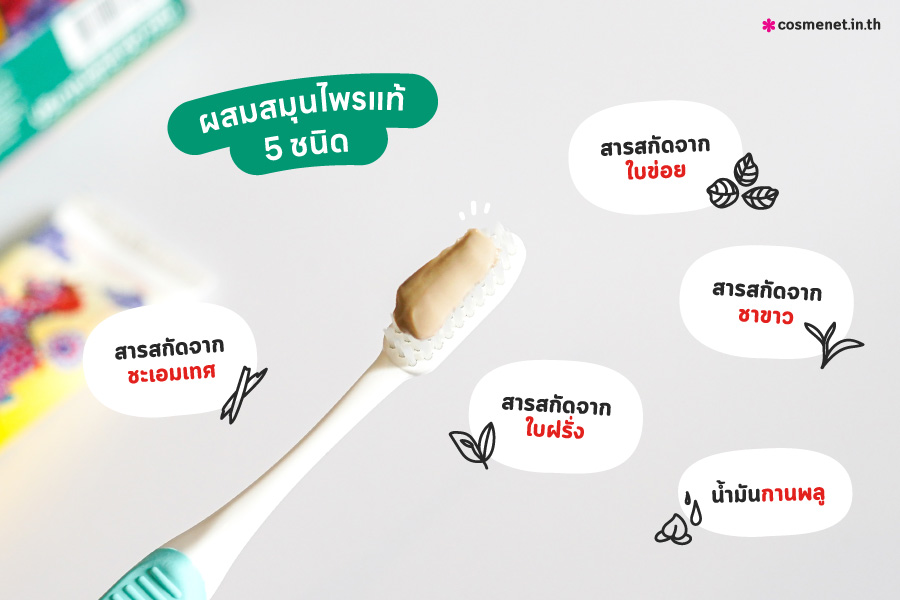 Botan Herbal Toothpaste ยาสีฟันสมุนไพร