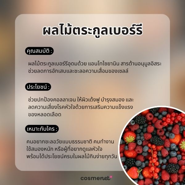 อยากหน้าเด็กต้องกินอะไร? 5 อาหารชะลอวัย หุ่นเป๊ะ ผิวใส แถมสุขภาพดี อาหารกันแก่ : ผลไม้ตระกูลเบอร์รี