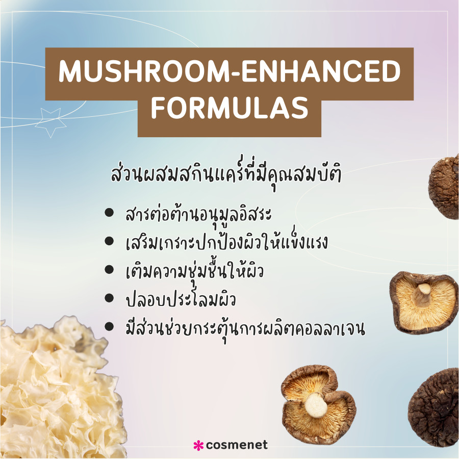 Mushroom Extract ส่วนผสมสกินแคร์ ยอดนิยม