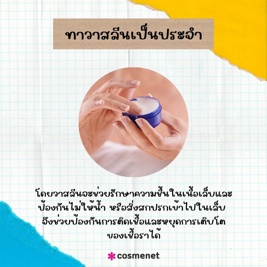 ทาวาสลีนเป็นประจำ