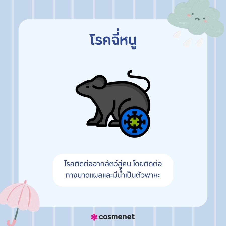 โรคฉี่หนู