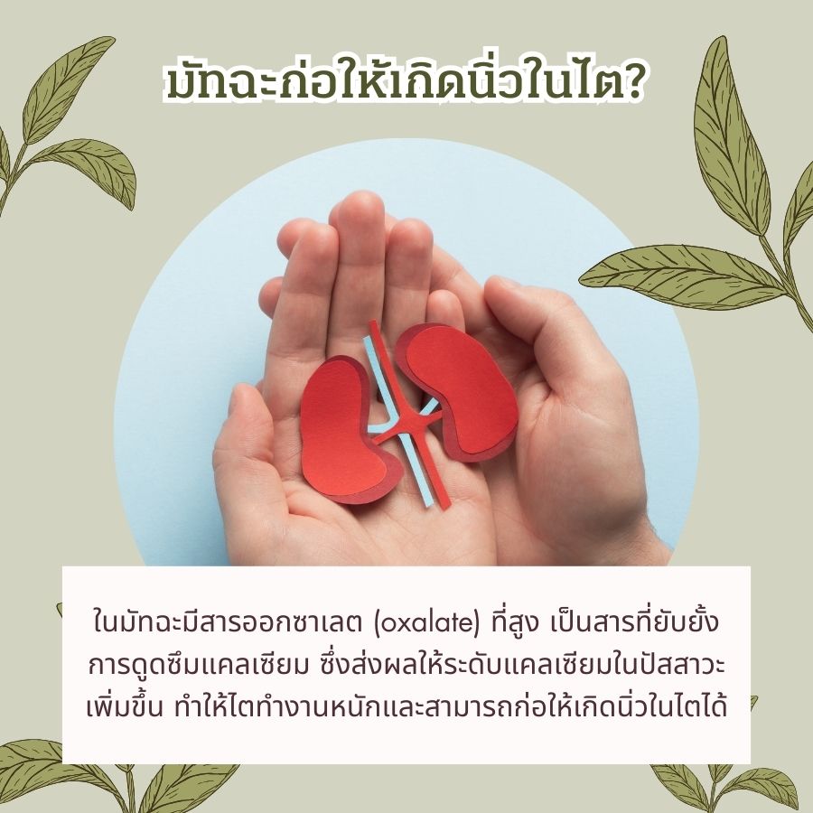 มัทฉะก่อให้เกิดนิ่วในไต?