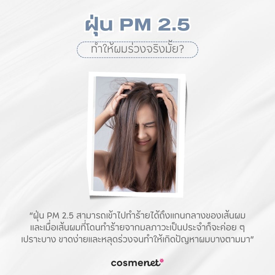 ฝุ่น PM 2.5 ทำให้ผมร่วงจริงมั้ย?