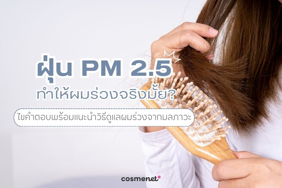 ฝุ่น PM 2.5