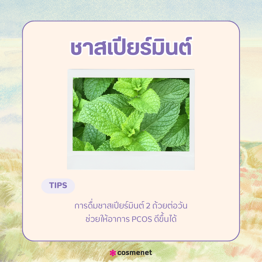 ชาสเปียร์มินต์