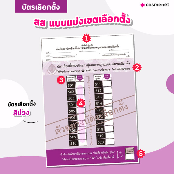 บัตรเลือกตั้งสีม่วง บัตรเลือกตั้งส.ส.แบบแบ่งเขต