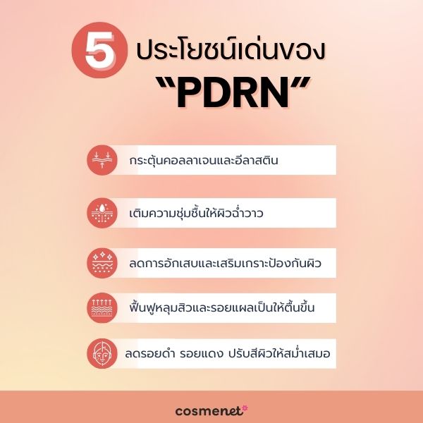 5 คุณสมบัติและประโยชน์เด่นของ PDRN 