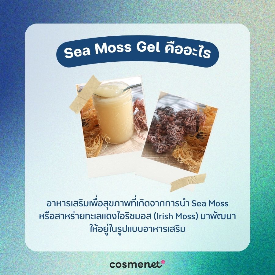 Sea Moss Gel คืออะไร