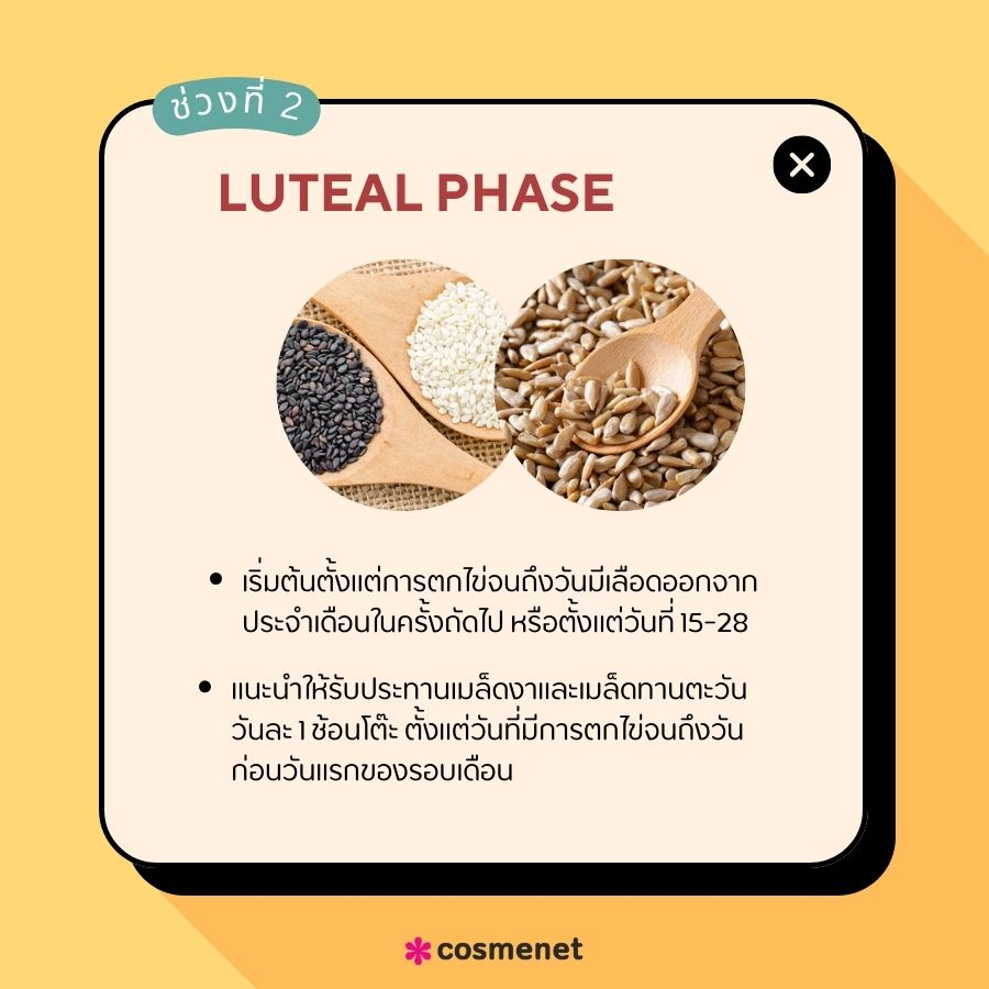  Luteal Phase 