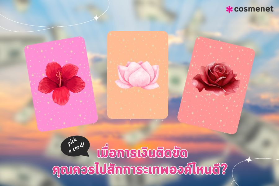 Pick a card แก้ชีวิตติดขัด