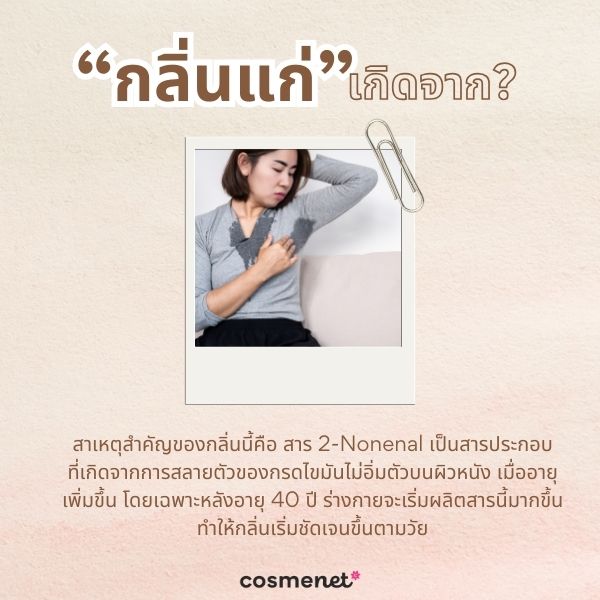กลิ่นแก่ เกิดจากอะไร?