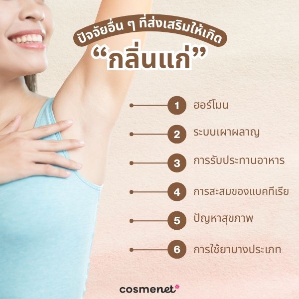 กลิ่นคนแก่ แก้ยังไง? 5 วิธีป้องกันกลิ่นแก่ ให้กลิ่นกายหอมสดชื่น กู้คืนความมั่นใจกลับมา ปัจจัยอื่น ๆ ที่ส่งเสริมให้เกิดกลิ่นแก่