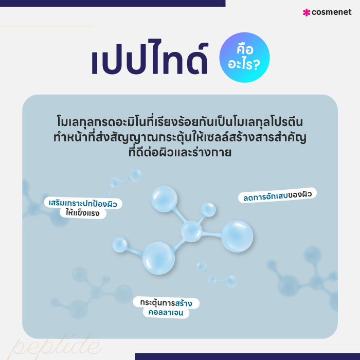 เปปไทด์ คืออะไร