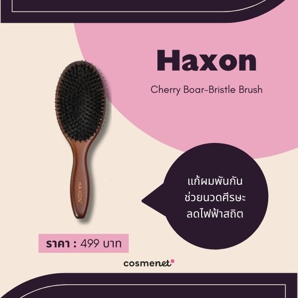 10 หวีลดไฟฟ้าสถิตย์ จบปัญหาผมชี้ฟูกวนใจ ให้ผมเรียบลื่น จัดทรงง่าย Haxon Cherry Boar-Bristle Brush