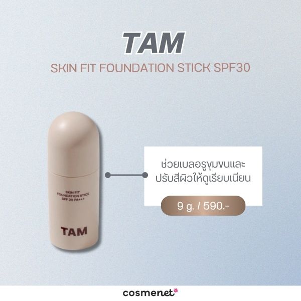 TAM SKIN FIT FOUNDATION STICK SPF30