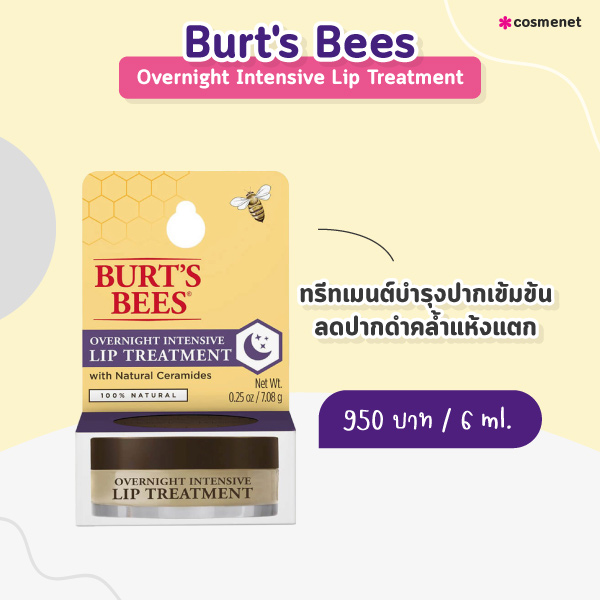 ลิปแก้ปากดำ Burt's Bees Overnight Intensive Lip Treatment