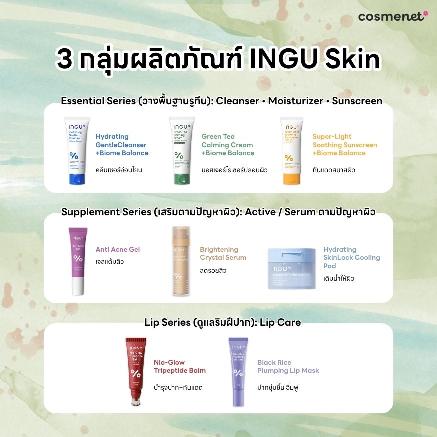 INGU Skin มีตัวไหนบ้าง