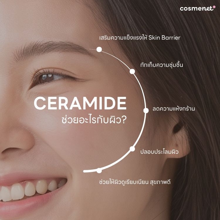 ceramide ช่วยอะไรกับผิว