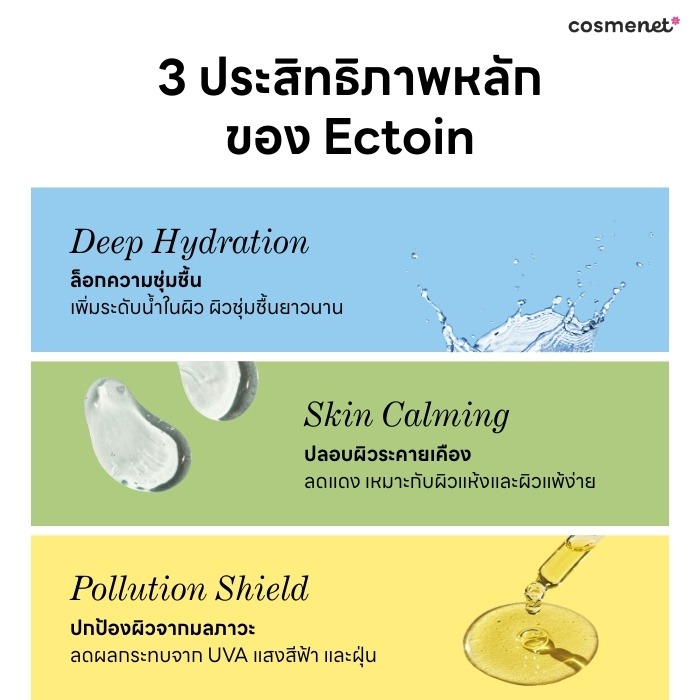 คุณสมบัติของ Ectoin คือ