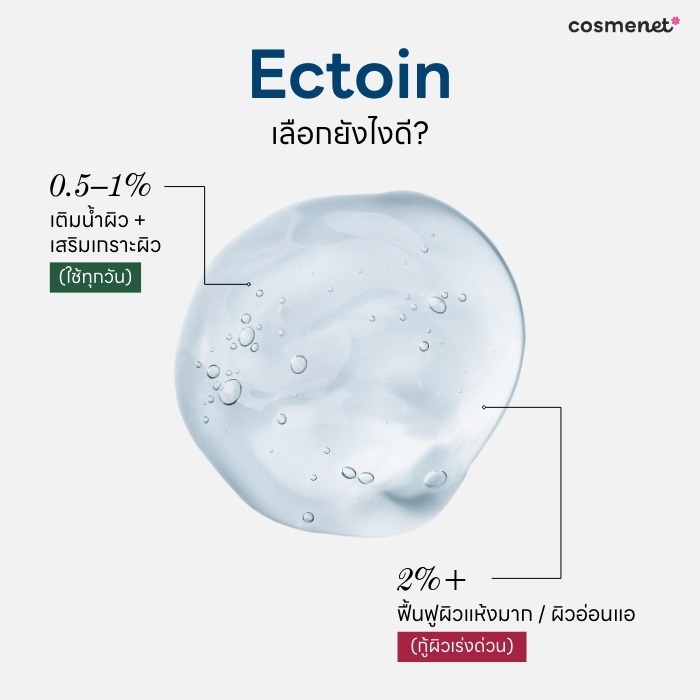 วิธีเลือก Ectoin ให้เหมาะกับสภาพผิว