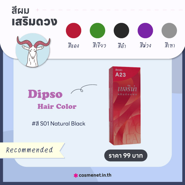 สีผมเสริมดวงราศีมังกร 2566