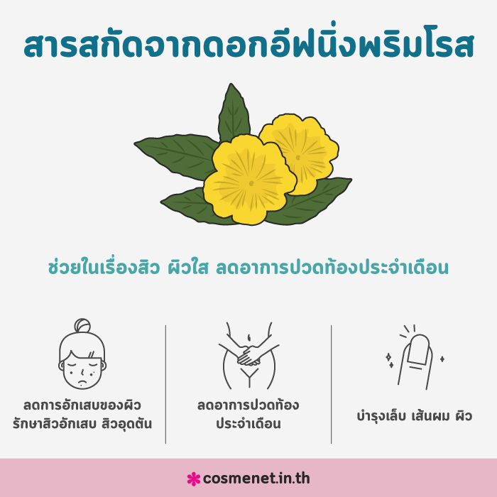 อีฟนิ่งพริมโรส ประโยชน์