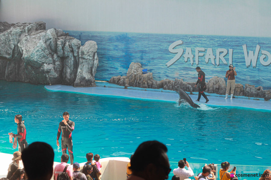 โชว์โลมา Safariworld