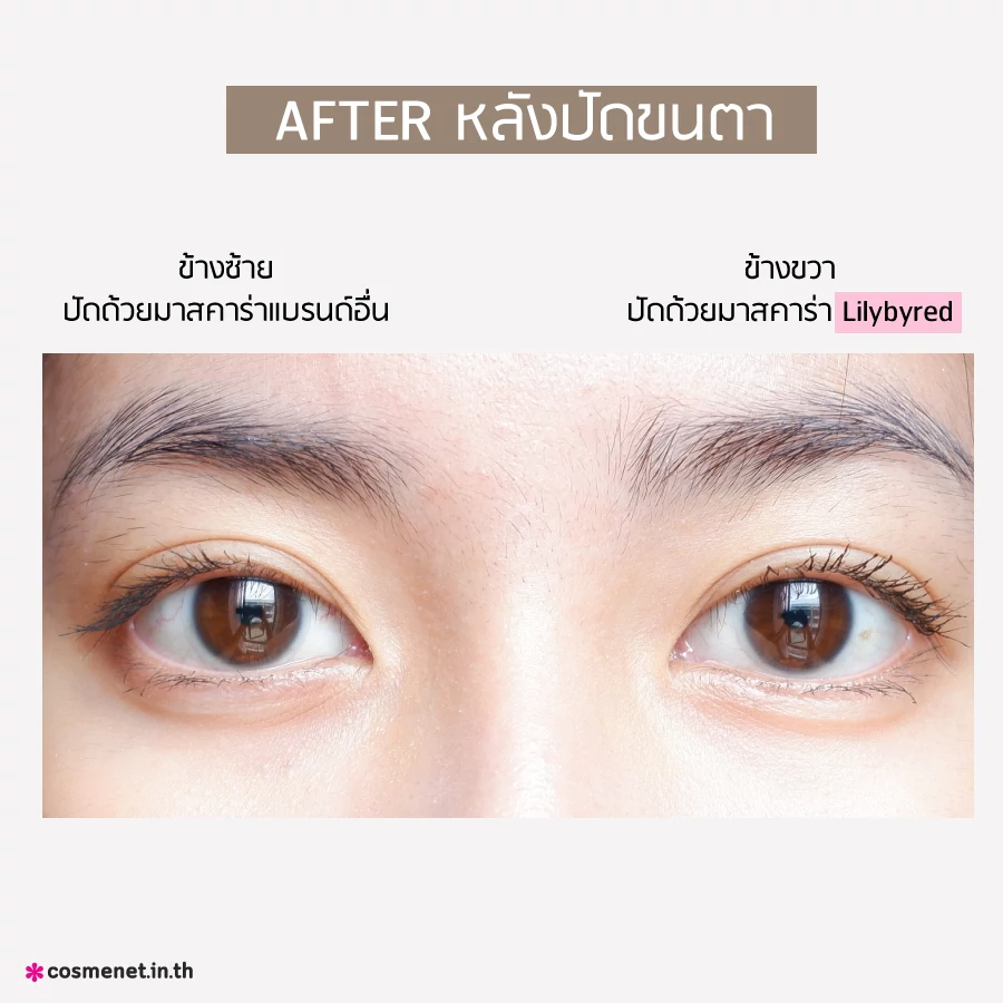 รีวิว ปัดขนตาด้วยมาสคาร่า Lilybyred AM9 To PM9 Survival Colorcara