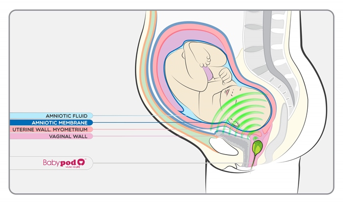 Baby Pod