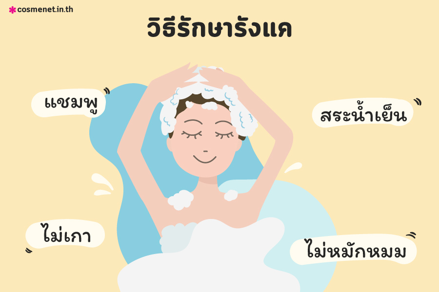 แชมพูขจัดรังแค ยี่ห้อไหนดี